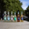 Symples Collection de potions